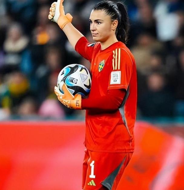 雷火电竞下载-瑞典国家队逆转获胜，实力不容小觑的简单介绍