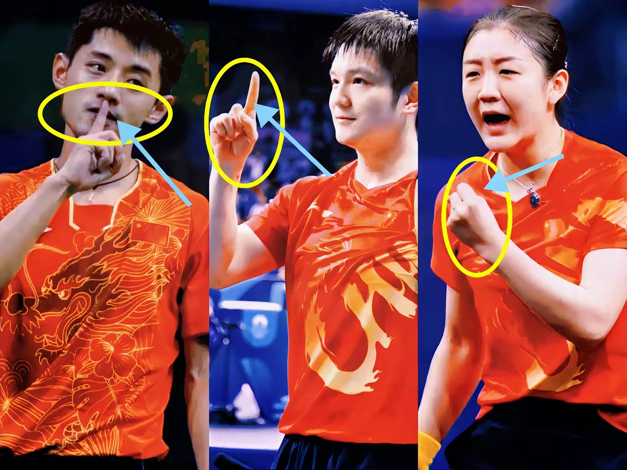 德国队轻取法国队，张继科点燃赛场