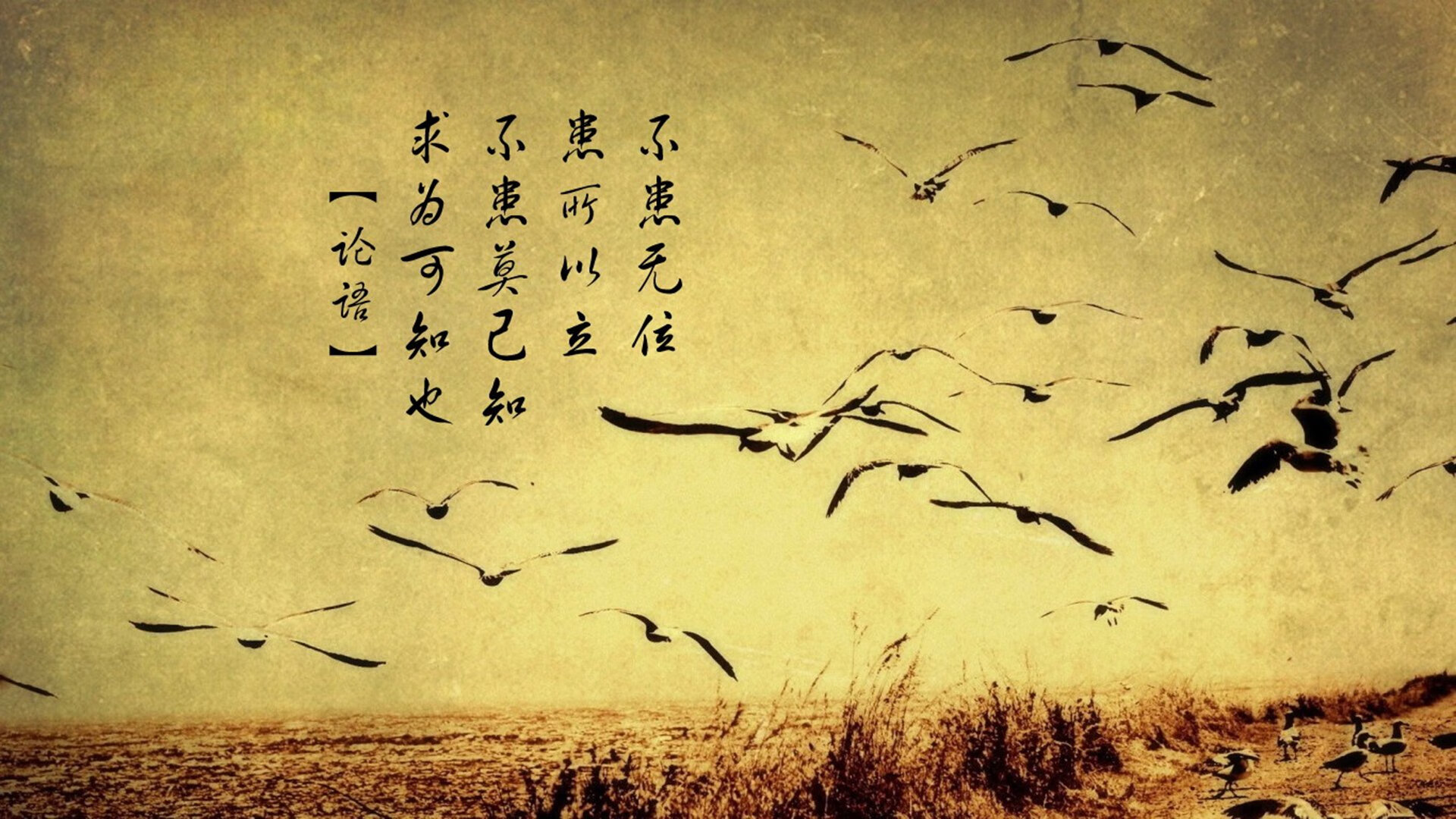 雷火电竞亚洲先驱-加克波闪耀全场，哥斯达黎加爆冷掀翻劲旅秘鲁