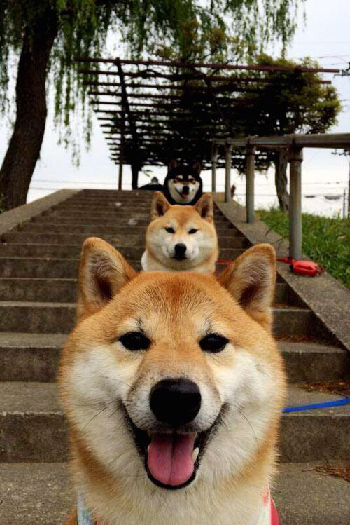 雷火电竞下载-拉文关键先生本色尽显，广厦队完胜黄蜂队展团队雄风