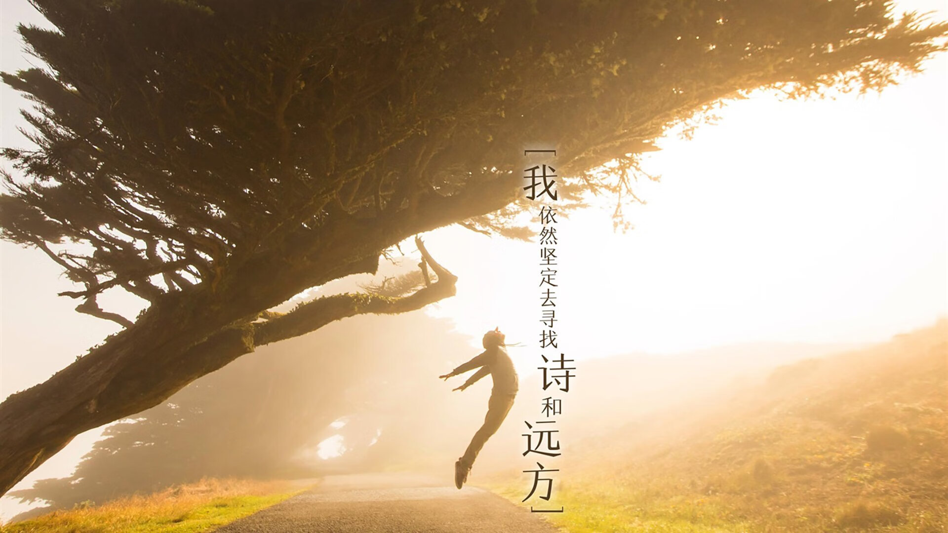 虚拟速度与真实荣耀，玻利维亚在F1虚拟街道赛中加时险胜埃及