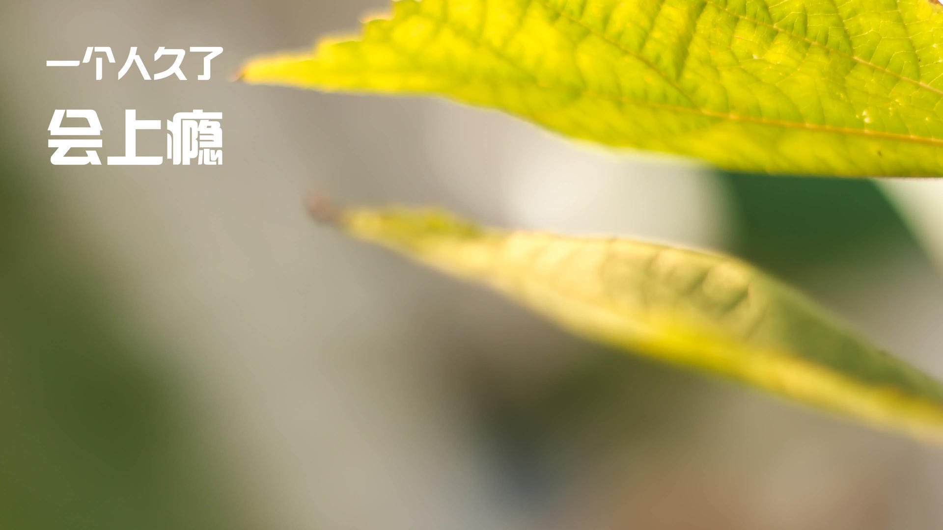 从黄喜灿爆发到国米收割，足球资本下的隐形金矿