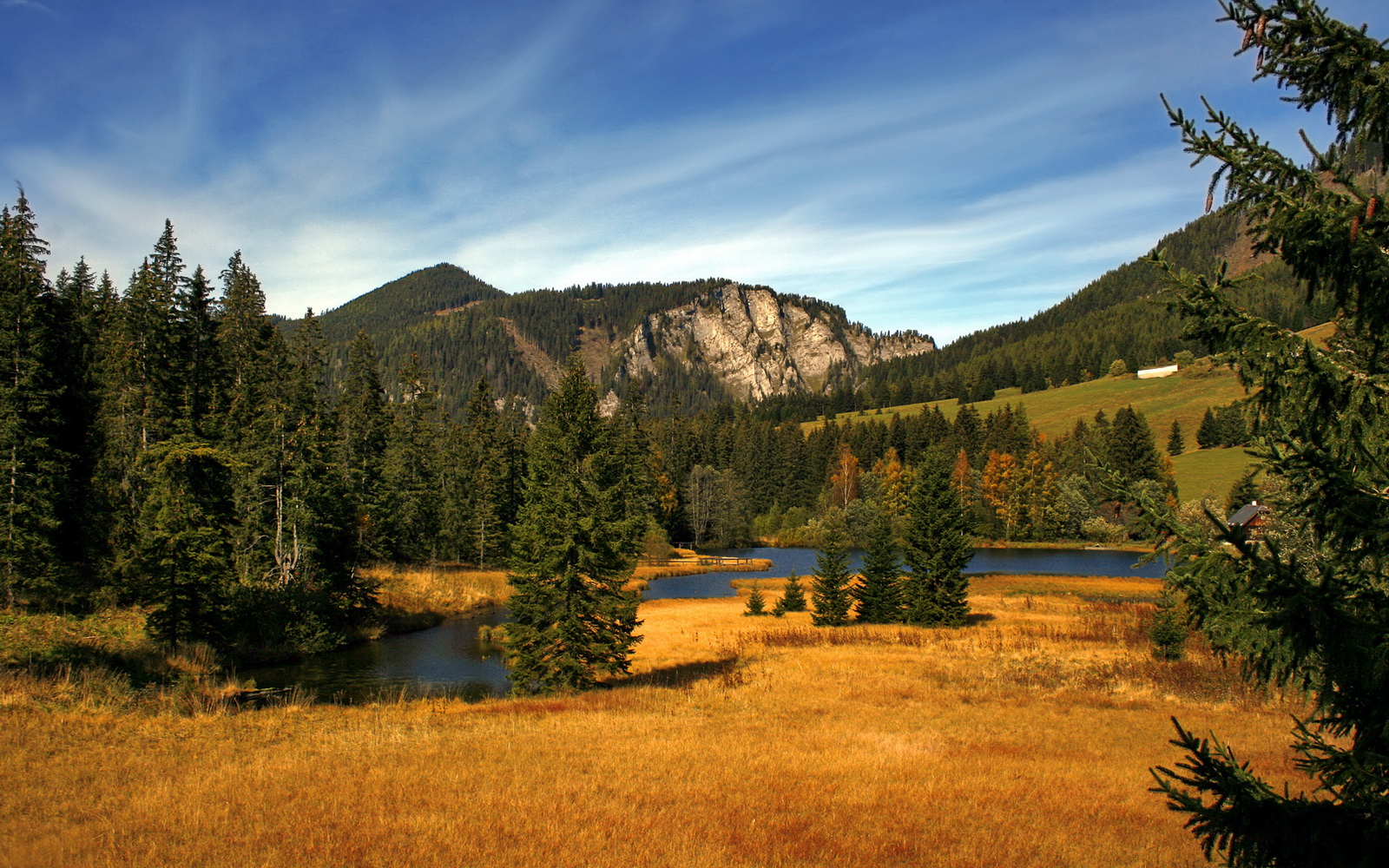 沙漠风暴，基米希引导下的卡塔尔战术革命，掀翻哥伦比亚