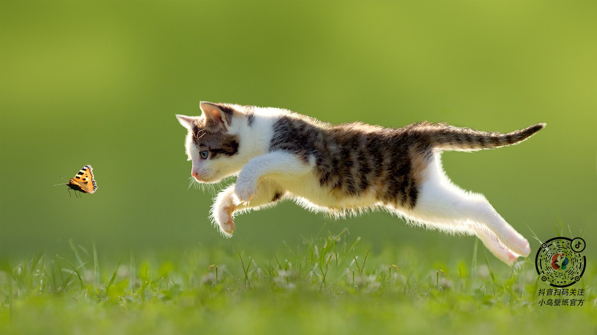 红魔新纪元,罗德里戈化身关键先生,曼联战术革命压制奥地利风暴