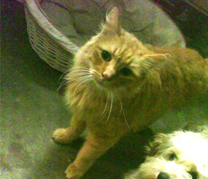 利刃出鞘，绞索收紧，山西队用一场教科书式的防守绞杀，为CBA季后赛写下新注脚