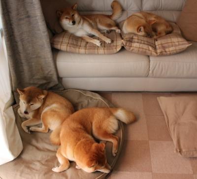 当东方NBA照进现实，广东宏远在跨维度总决赛中重塑中国篮球荣光