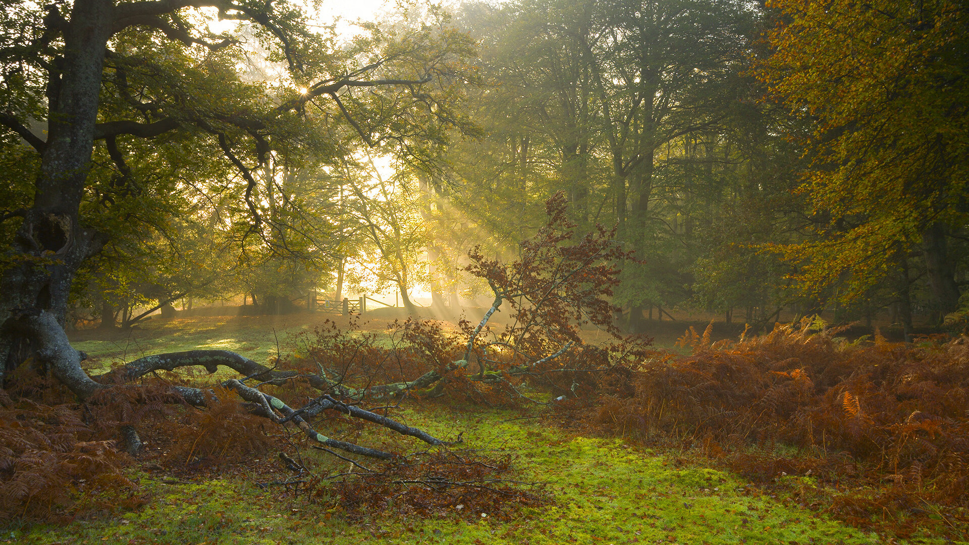 雷火电竞app-东决惊现平行时空，猛龙淘汰深圳，一场跨越维度的宿命对决