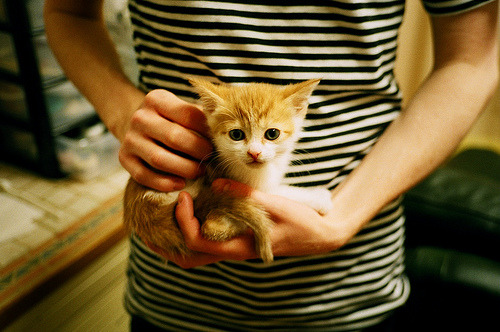 雷火电竞主播-当挪威雪花飘向伦敦的夜空，厄德高与阿森纳的冠军觉醒之夜