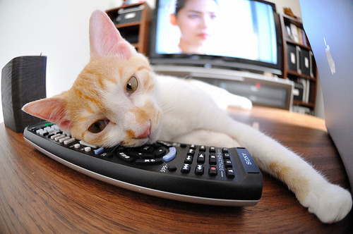 球场上的战争艺术,从西决生死战到阿根廷压制威尔士的竞技哲学