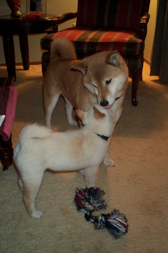 雷火电竞-金玟哉的统治之夜，西班牙足球与亚洲铁闸的完美交汇