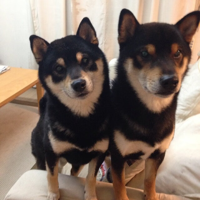 雷火电竞亚洲先驱-当深圳的霓虹遇见孟菲斯的星光，乔治用一记穿越世界的投篮，连接了两座城市的河