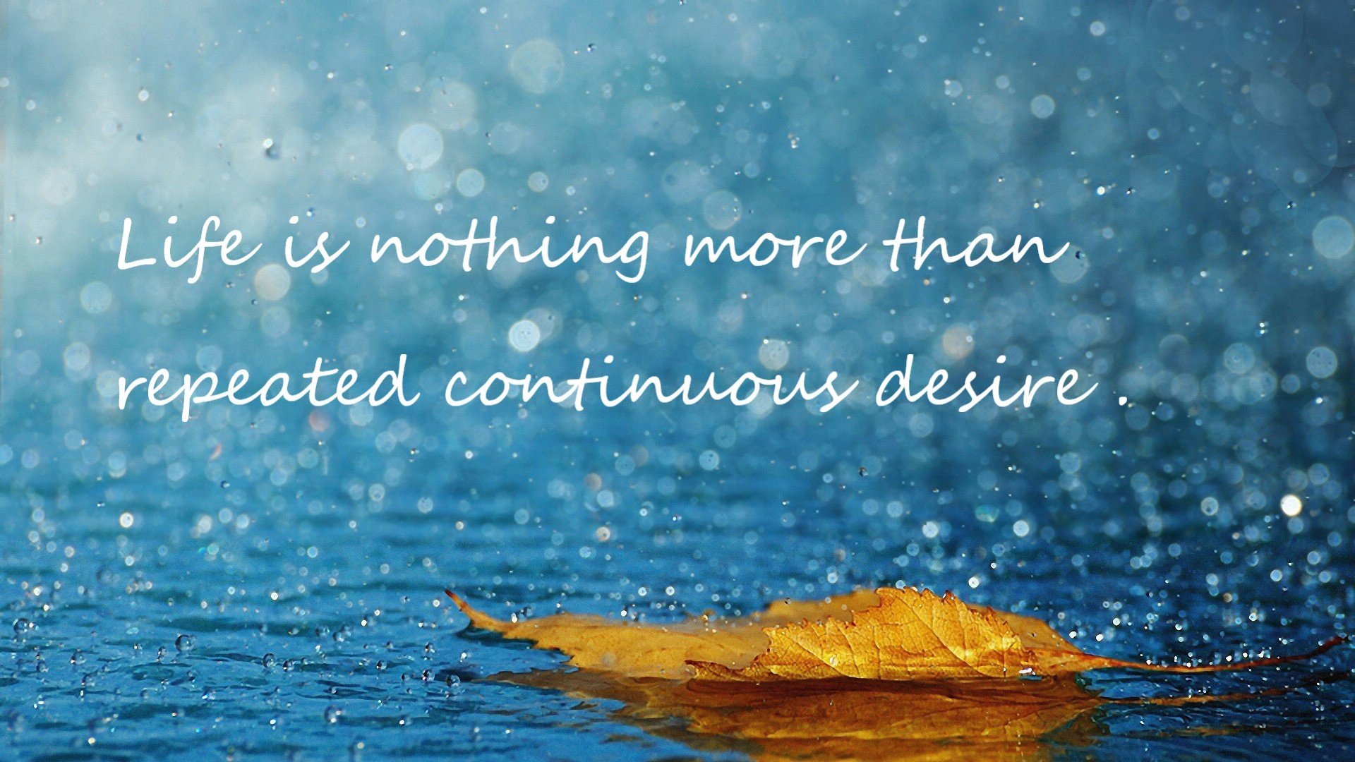 不死掘金杀死比赛,杰伦·格林接管未来,从CBA到NBA的胜负启示