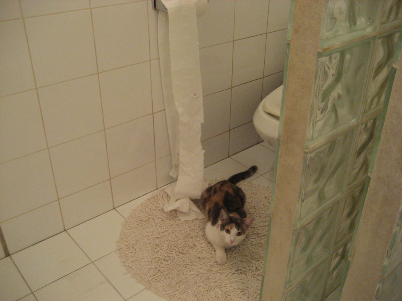 沉默中爆发的深圳詹姆斯,当王朝的黄昏迎来新王的晨光