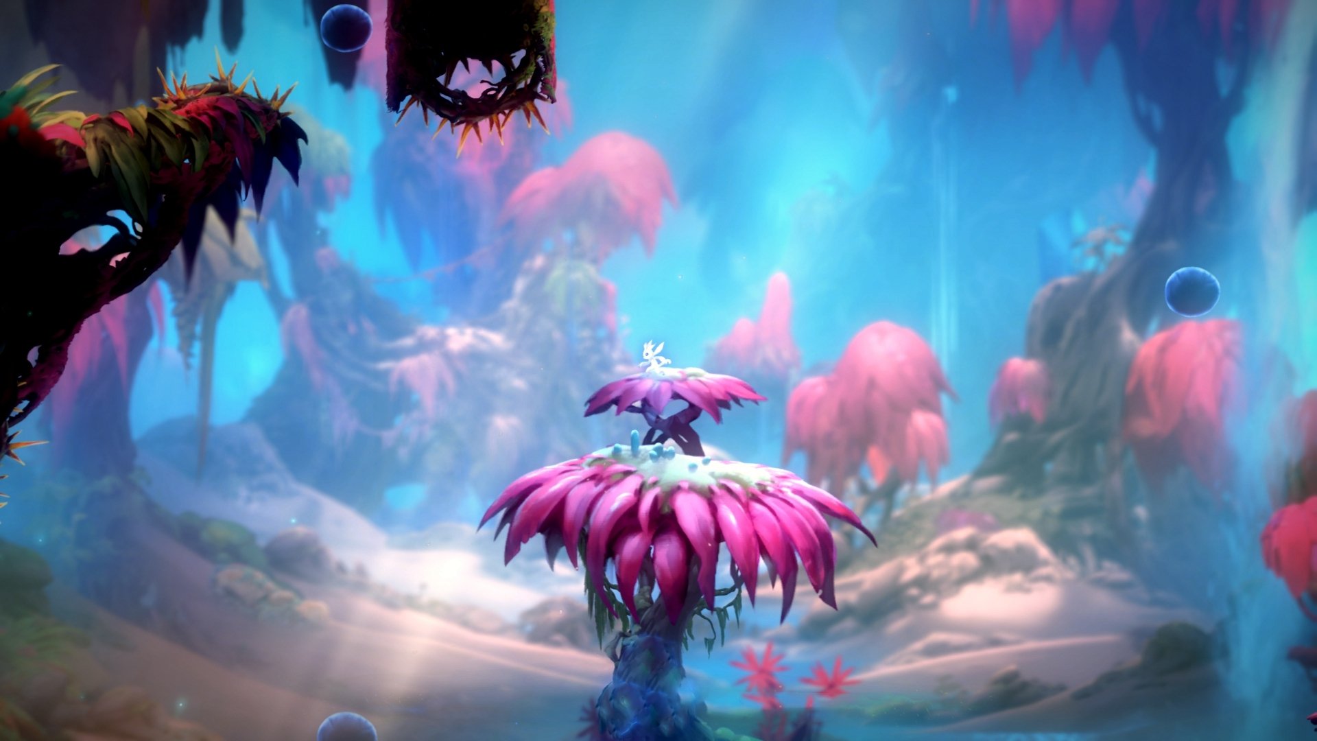 雷火电竞网站-上海滩惊雷！海港火力全开压制开拓者 布克神兵天降接管奥运前哨战