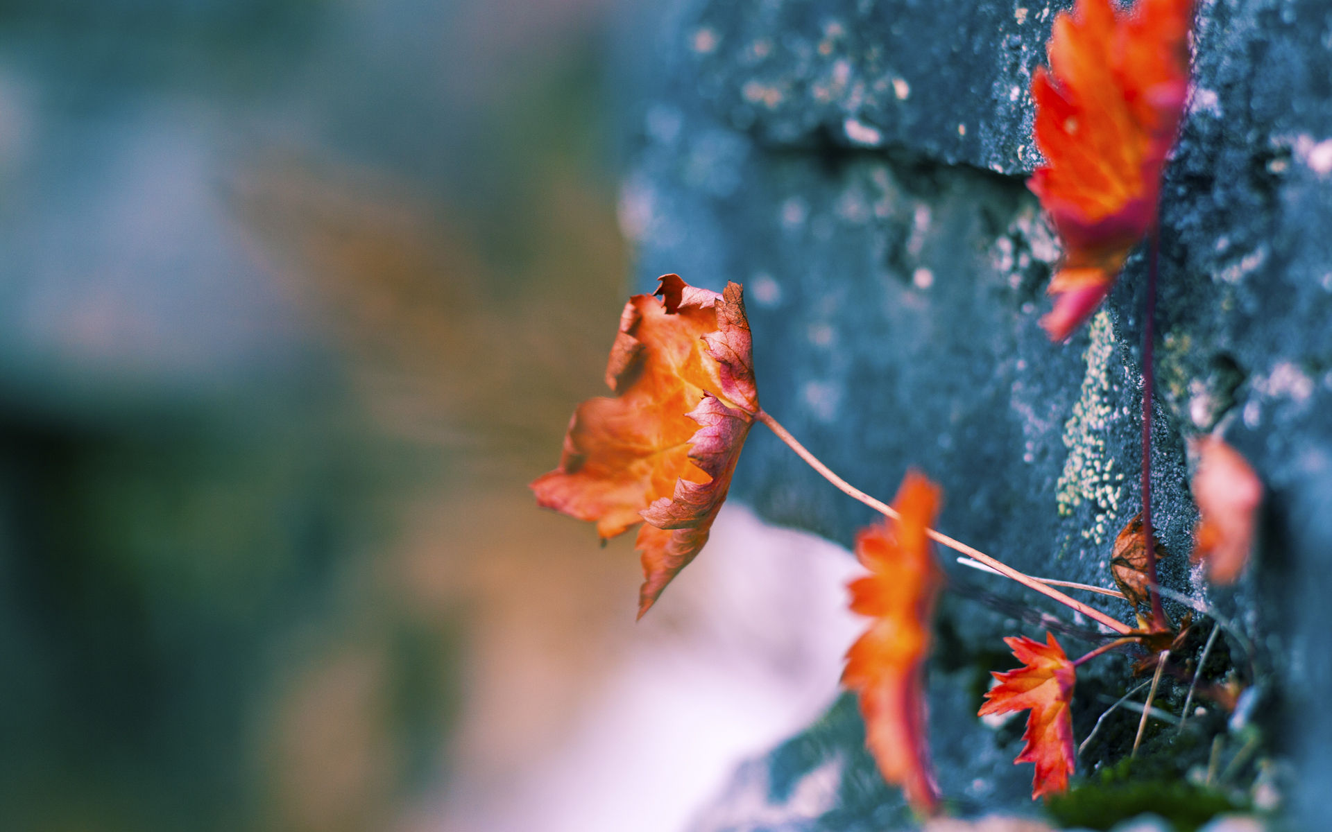 法国双星闪耀,马赛打穿墨西哥,门迪国家德比接管比赛