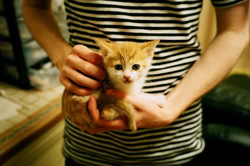 沉默的吸铁石与风暴眼，当楚阿梅尼的爆发撕裂黑夜，哥斯达黎加用节奏为苏格兰谱写挽歌