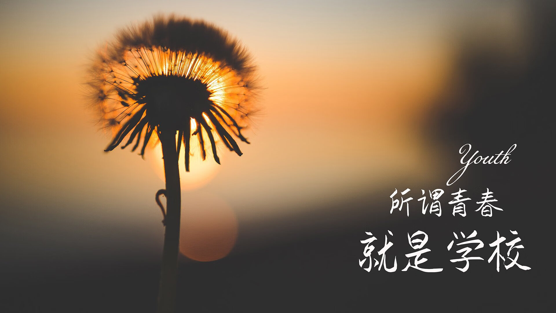 2026世界杯C组，罗马尼亚铁骑横扫奥地利，坎塞洛中场绝对统治力书写传奇一夜