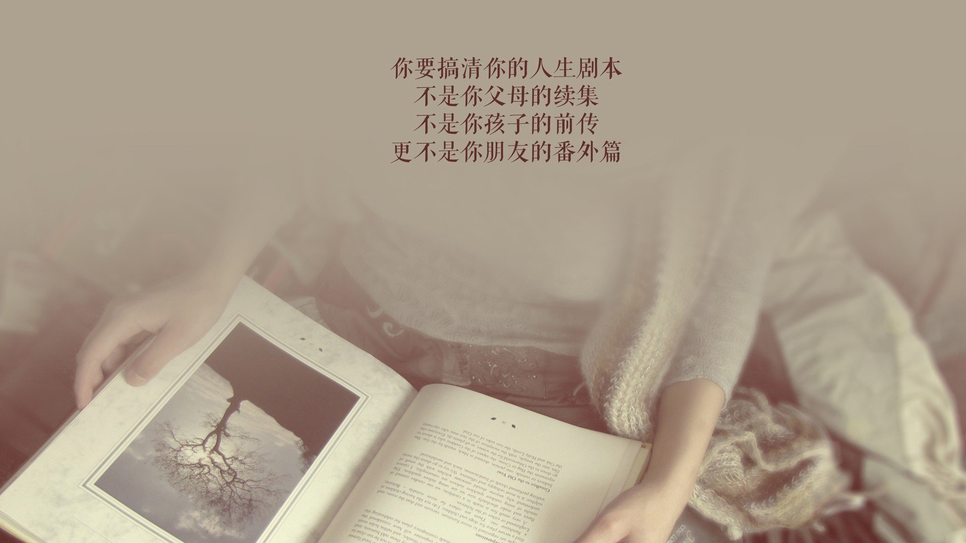 冰与火的对决，2026世界杯D组，美国完胜冰岛，努涅斯致命一击定乾坤
