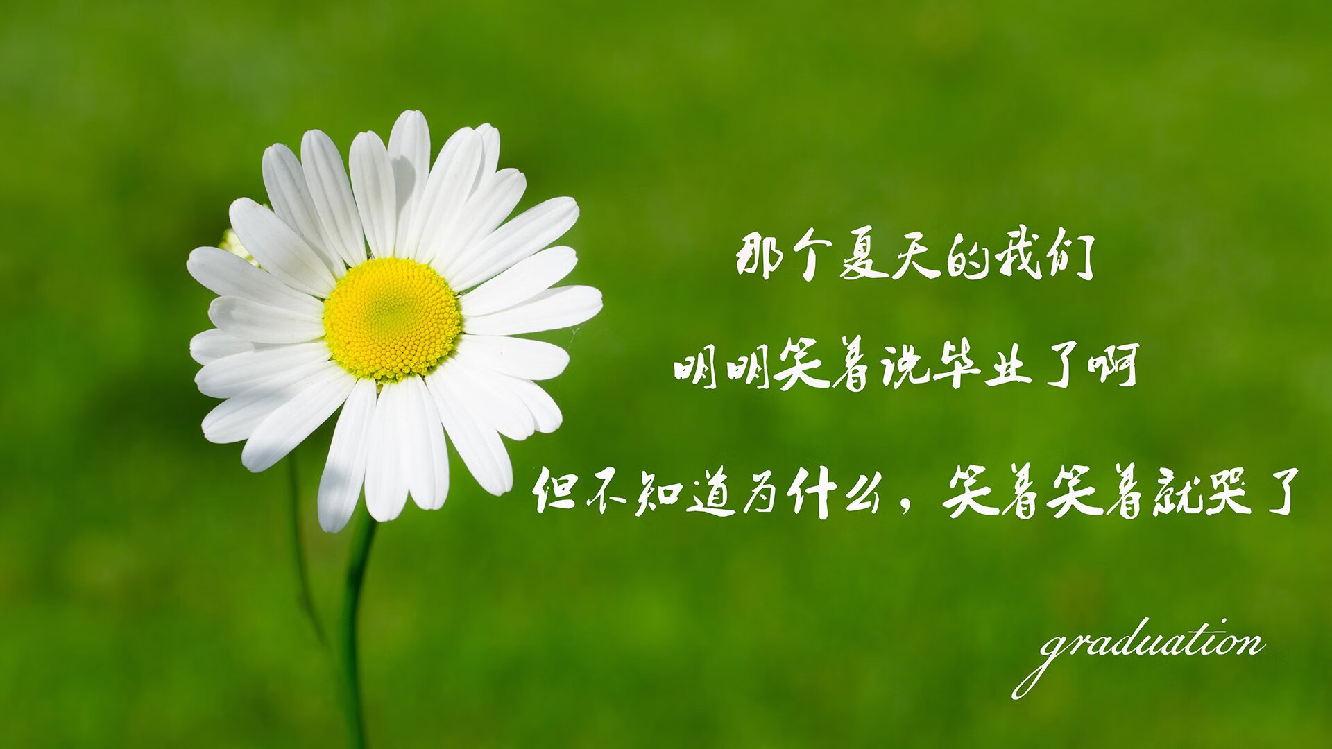 雷火电竞充值-南看台的最后一束光，德容让2026世界杯的慕尼黑之夜，只属于德国和奇迹