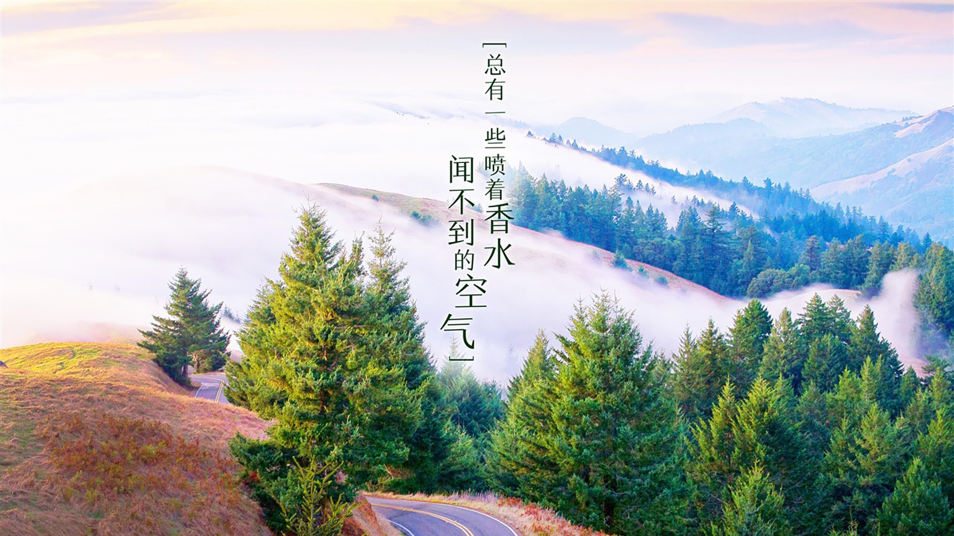 1.蓝衣与波斯铁骑,姆巴佩的上帝视角如何撕裂2026世界杯B组的天平